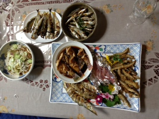 Turi2