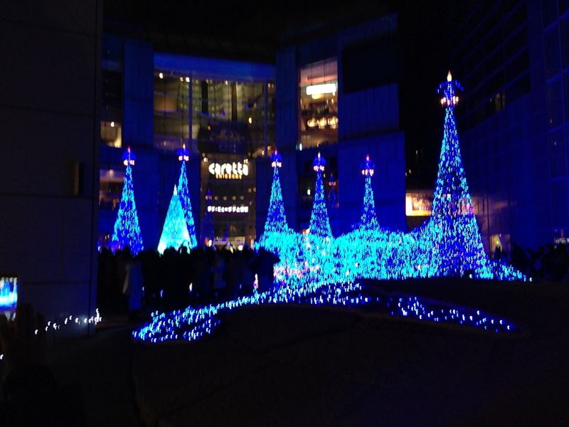 IMG_0817 IMG_0817
